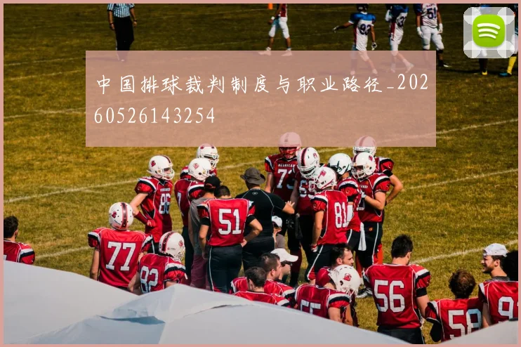 中国排球裁判制度与职业路径_20260526143254