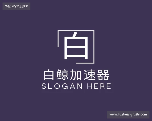 认识白鲸加速器